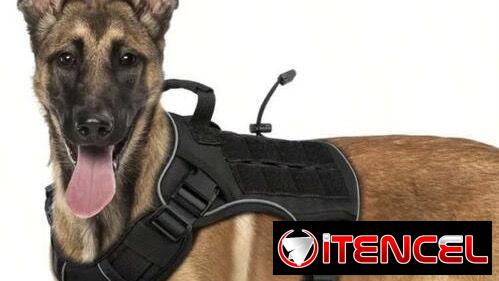 Artículos para perros