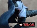 Figuras de anime