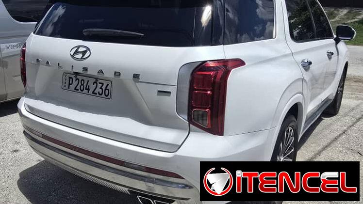 Vendo o negocio, Hyundai palisade 2024, calligraphy