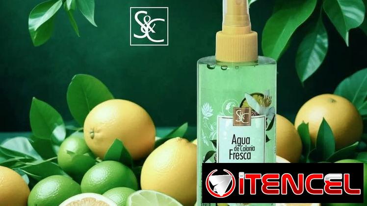 *Oferta Limitada*: Colonias 400ml… frescura y elegancia en una sola frangancia 🫧😊. Calidad y garantía ✅.