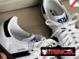 Tenis áridas samba