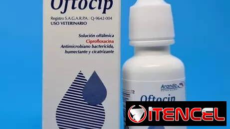 Ciprofloxacino en colirios para perros y gatos