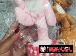 Capibara bailarin con musica .   10 Usd