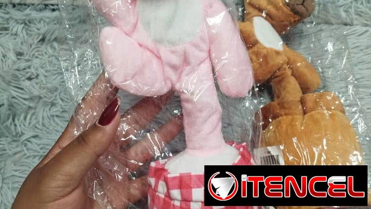 Capibara bailarin  10 Usd