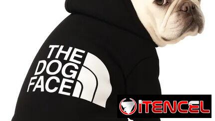 ​🐕​ CHAQUETA ABRIGO PARA PERRO PEQUEÑO , CHIGUAGUA PEQUINES – TALLA S — 58872360