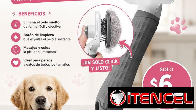 Cepillo de botón