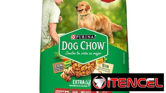 Pienso para gatos y perros variedad disponible