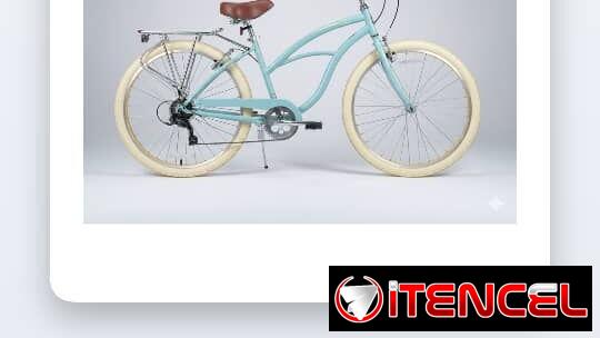 BICICLETA DE PASEO