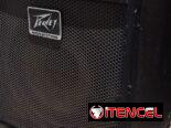 Amplificador de Bajo Peavey MAX110