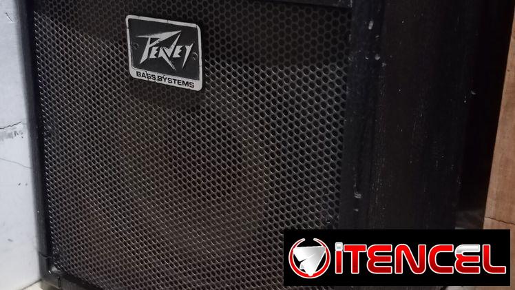 Amplificador de Bajo Peavey MAX110