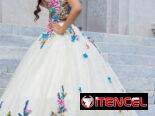 Las Fotos de tus Quince
