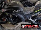 Moto de gasolina deportiva Furia 250 cc