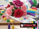 🎨 Artículos para Manualidades – Todo lo que necesitas. ✨ Aceptamos pago por transferencia 💳