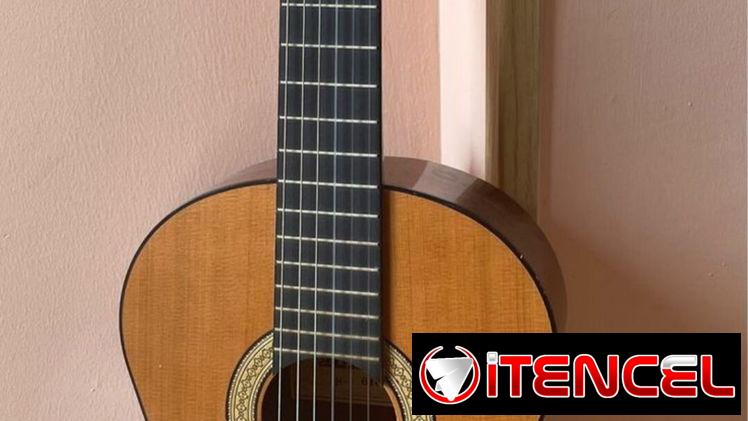 Venta de guitarra
