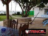 CASA FRENTE AL MAR SIN PISCINA EN RENTA , +53 52463651 DE LUJO , N