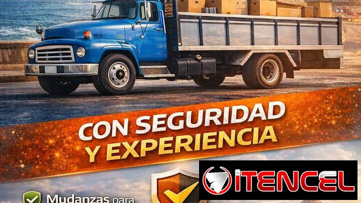 Brigada de carga y descarga