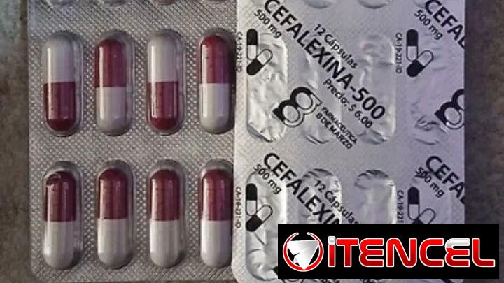 Cefalexina
