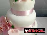CAKES BELLOS TEMATICOS PARA TODAS LAS TEMATICAS