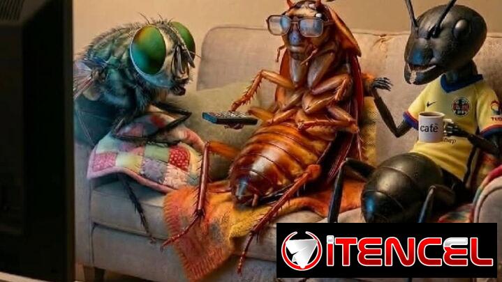 Fumigador contra todo tipo de insectos .