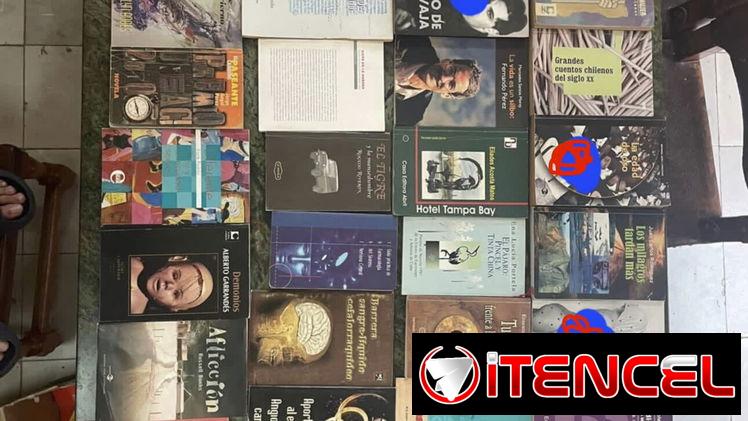 Variedad de libros