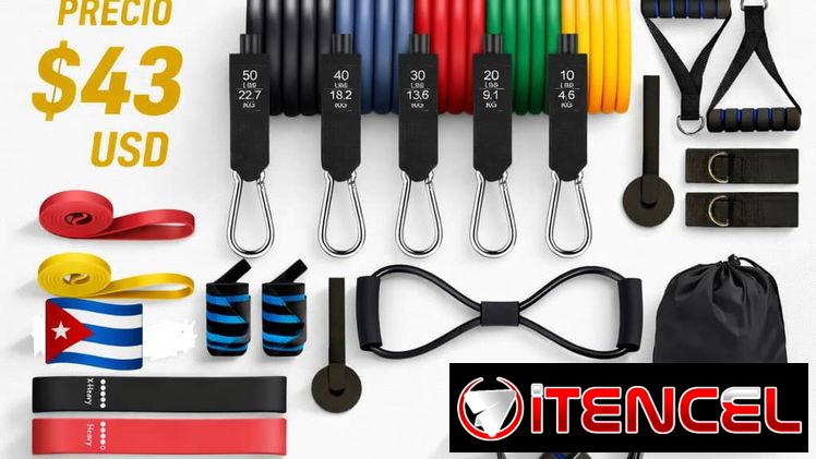 Set Completo de Ligas de Resistencia y Bandas Elásticas