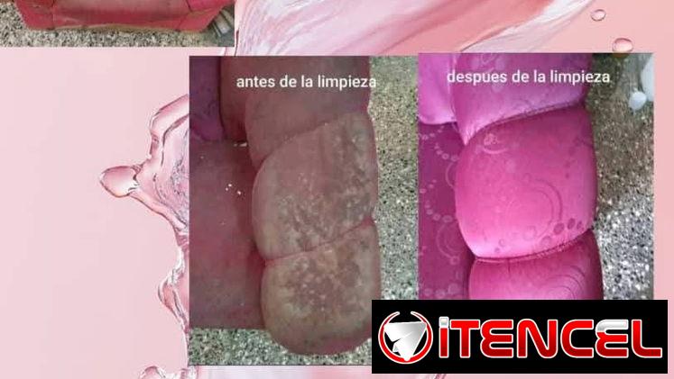 ‼️Limpieza de muebles e interiores de carros a domicilio en toda La Habana