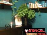 Se vende apartamento , se deja con todo y me ajusto