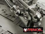 FLUTE-BANKRUPTCY SALE-NEW C STUDENT/INTERMEDIATE/PRO SILVER CONCERT BAND FLUTES