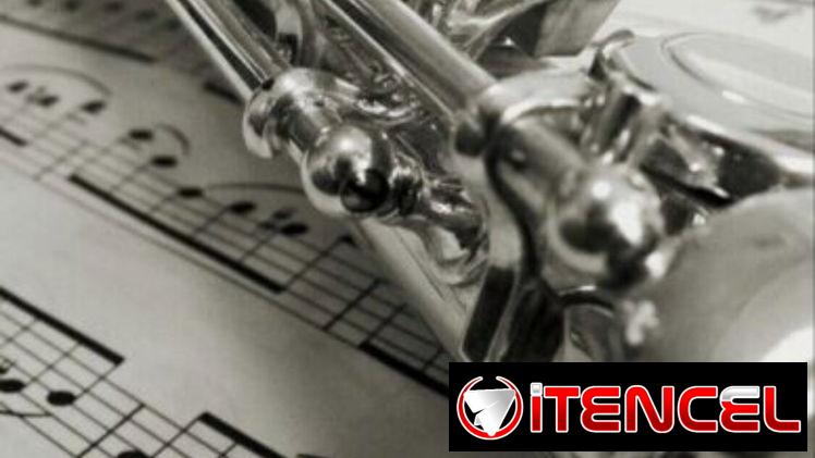 FLUTE-BANKRUPTCY SALE-NEW C STUDENT/INTERMEDIATE/PRO SILVER CONCERT BAND FLUTES