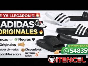 8f359561825ce17db06de553b3079df4bce2ecc92e638e644b61384ff906c1b4