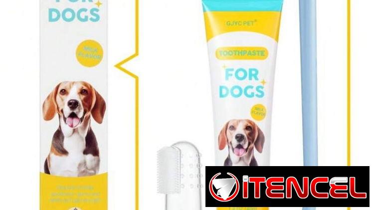 Kits dentales de mascotas