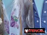 COLCHONES ORIGINALES DE ESPUMA