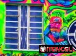 Se Realizan Pinturas Murales.Cuadros, carteles ,Rótulos