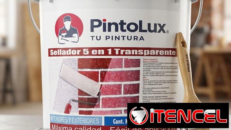 Pintura impermeable y VINIL para el hogar