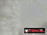 Decoración para Revelación de sexo/género, baby Shower, fiestas y eventos