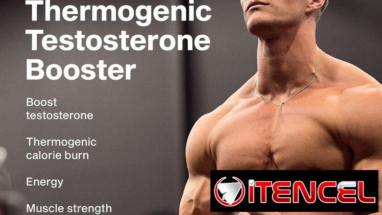 ALPHA TEST THERMO MUSCLETECH 90CAP-30SERV 58234161 y 56902981 FITNESSARMY