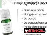 Sérum de Tea Tree para el acné, resequedad y caspa, elimina los hongos  ayuda a eliminar verrugas