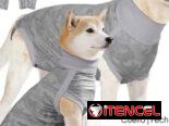 Collar isabelino y ropa pos quirúrgica para mascotas