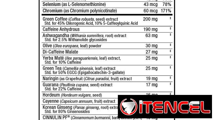 AllMax Nutrition Rapidcuts Shredded 90caps 58234161 FITNESSARMY