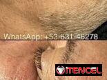 Tratamientos faciales y corporales