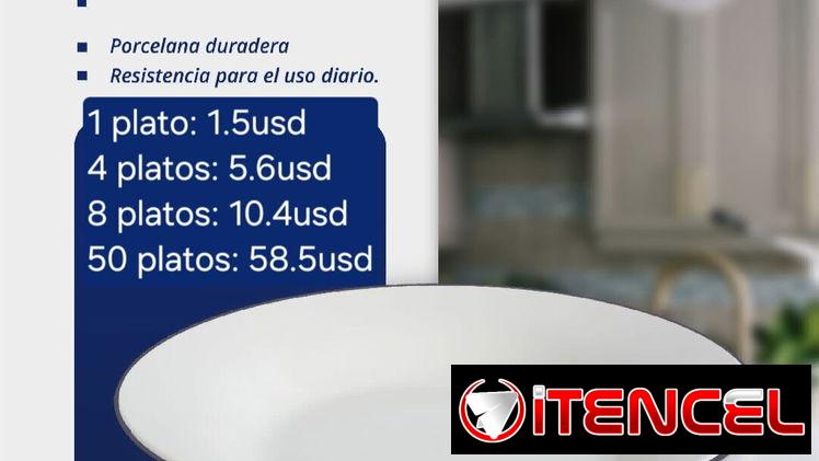 Platos de porcelana