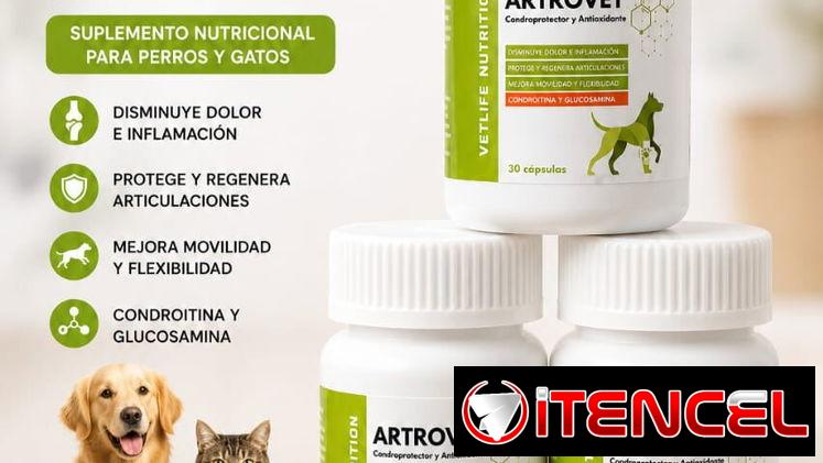 Artrovet para perros (Glucosammina con Condoitrina y multivitaminas)