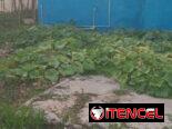 Se vende