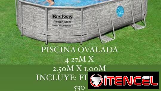 Pisvina ovalada