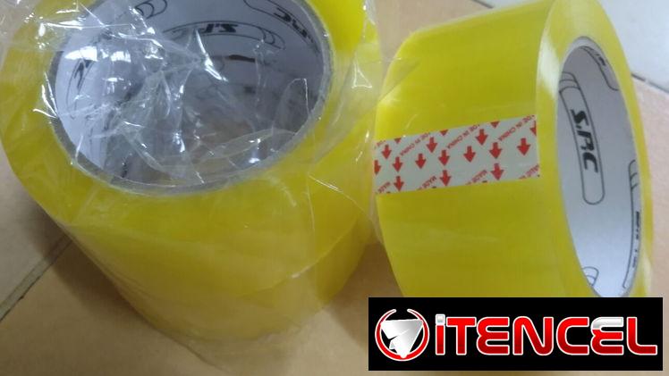 Escorttey transparente