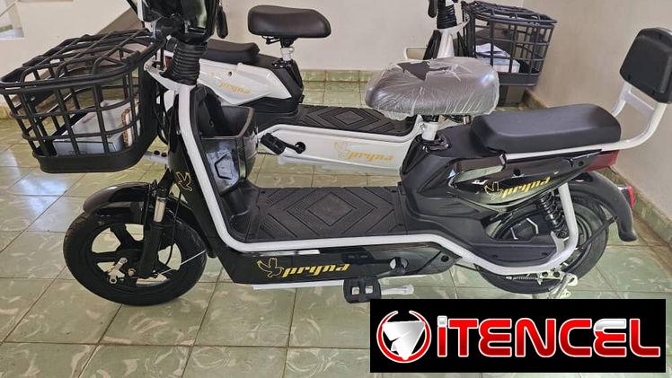 🛵⚡ PATINETA ELÉCTRICA PRYNA 2026 ⚡🛵