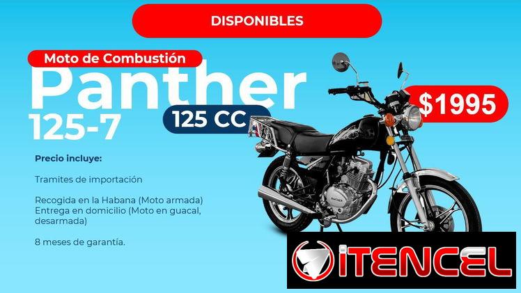 Motos de Combustión Panther