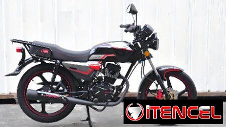 TRAPPER 150 CC – MOTOR