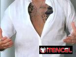 Camisa blanca de lino , camisa negra de lino , camisa verde de lino , camisa azul de lino , camisa beige