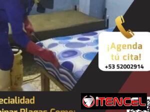 92b2756c3c447514ec079501e54d546c1bd9965bb308e3ab9bd6453db7b67bfc